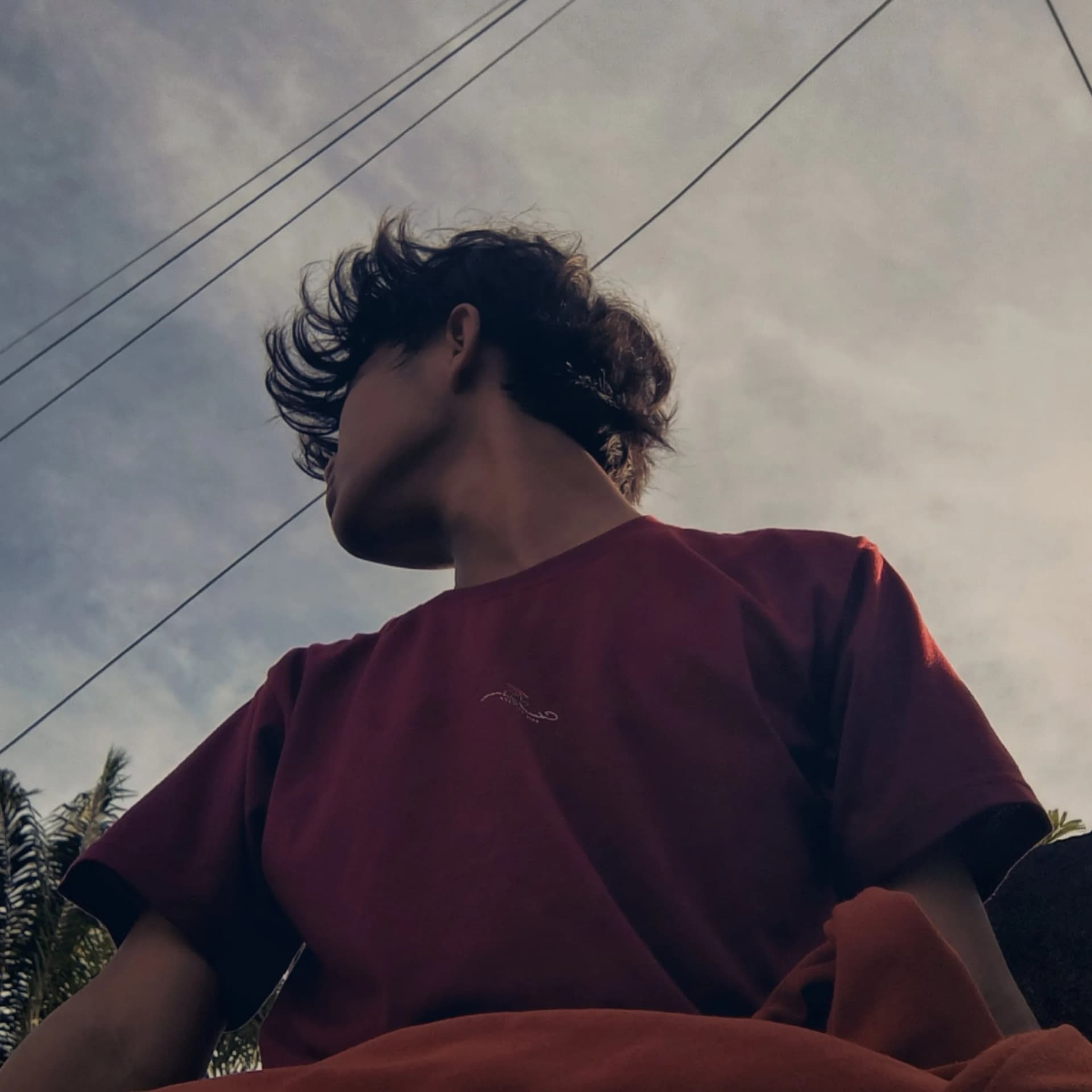 DreenkaDev — journey